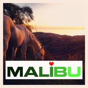 Meet your Posher, Shirleena